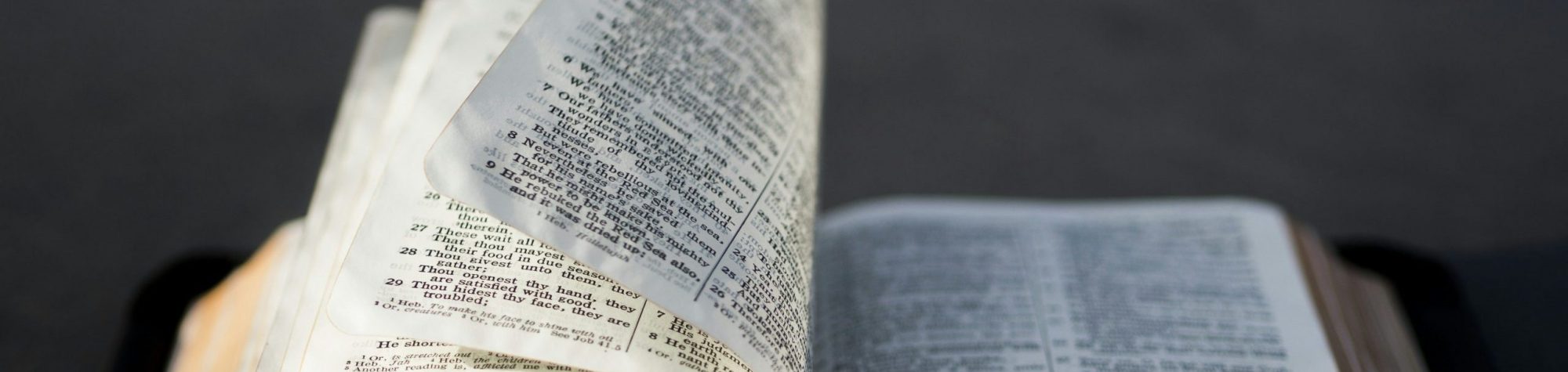 0d18dd50fa2f837f2dd37c957da792d0971dc178 Holly Scripture